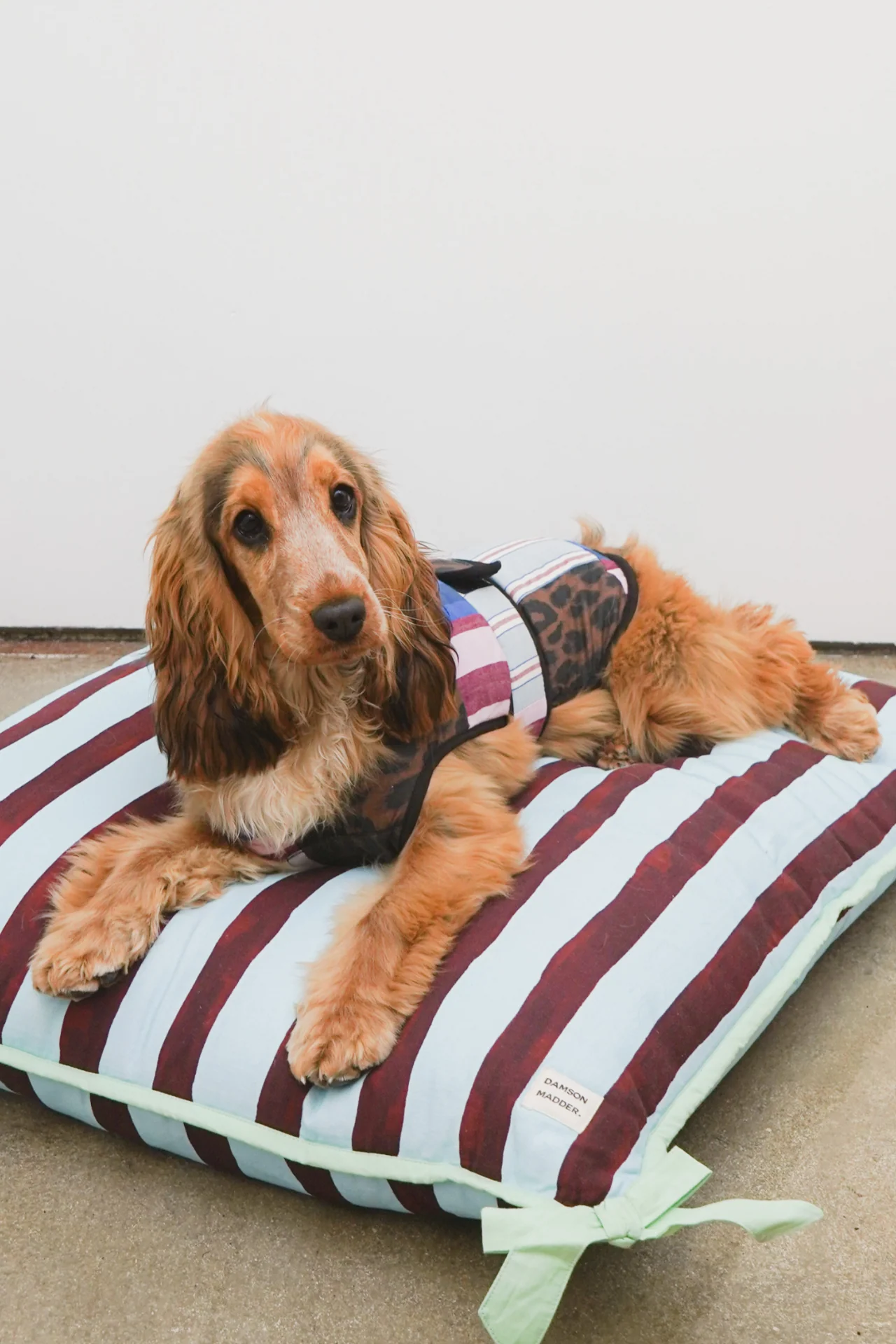 Dog Coat - Patchwork - Image 4