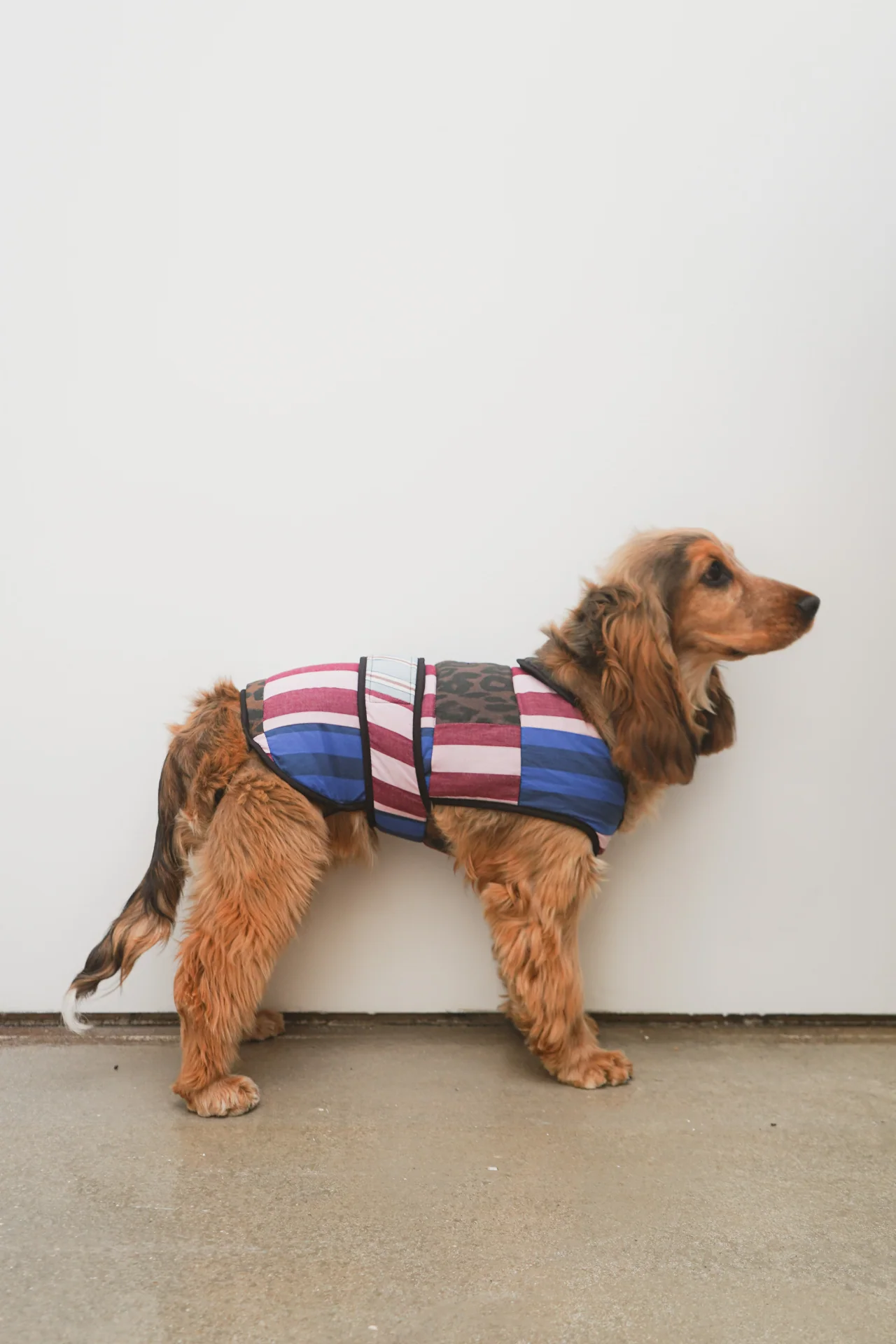 Dog Coat - Patchwork - Image 5