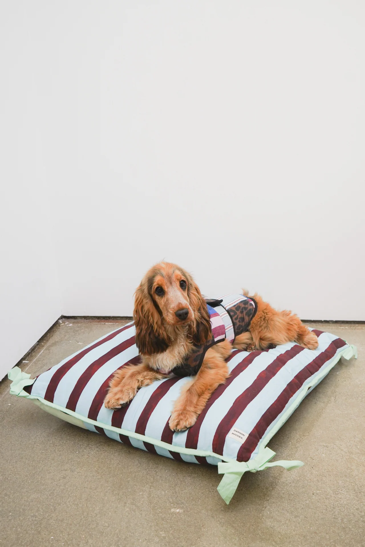 Dog Coat - Patchwork - Image 8