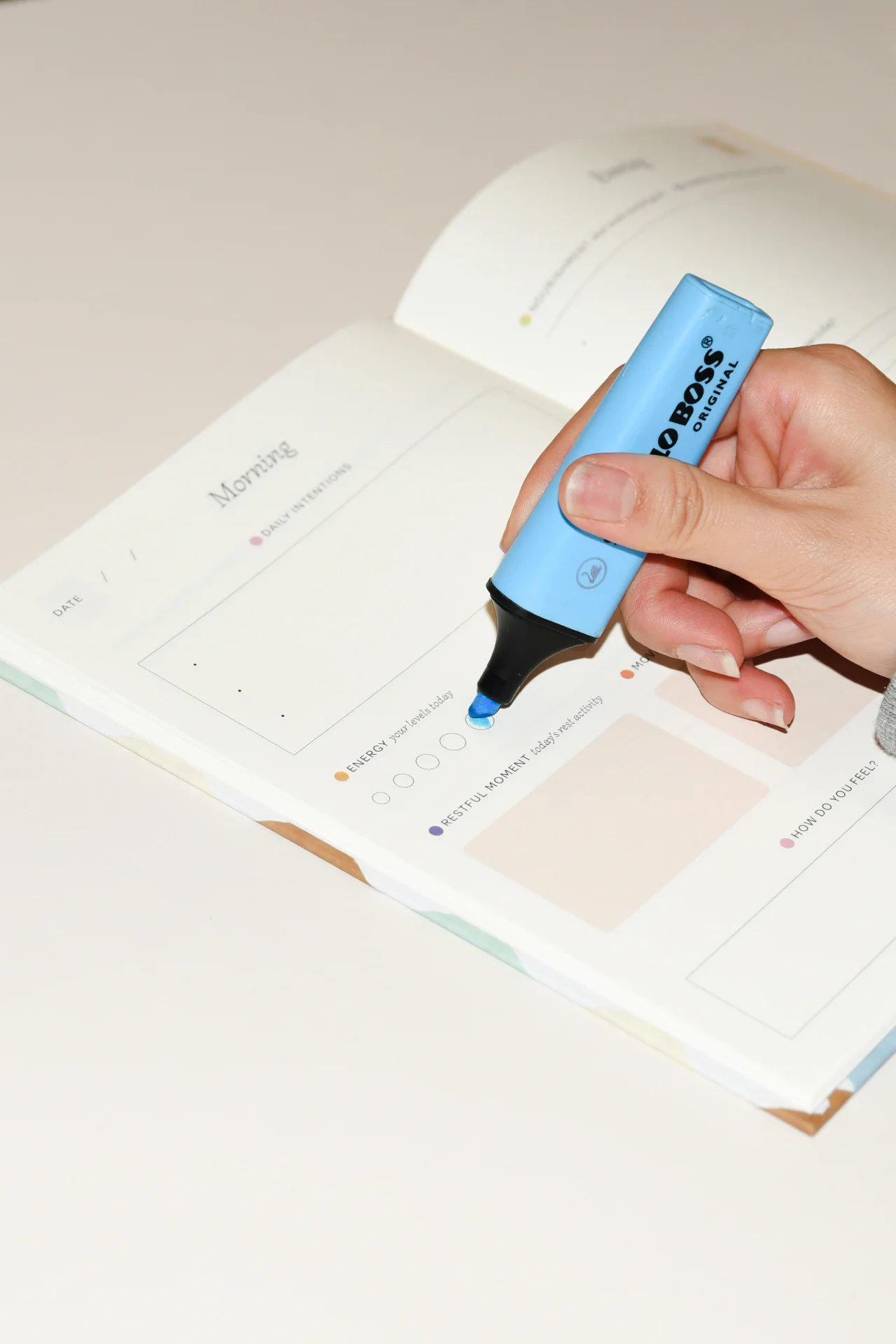 Damson Madder X Papier Harlequin Wellness Journal - Image 3
